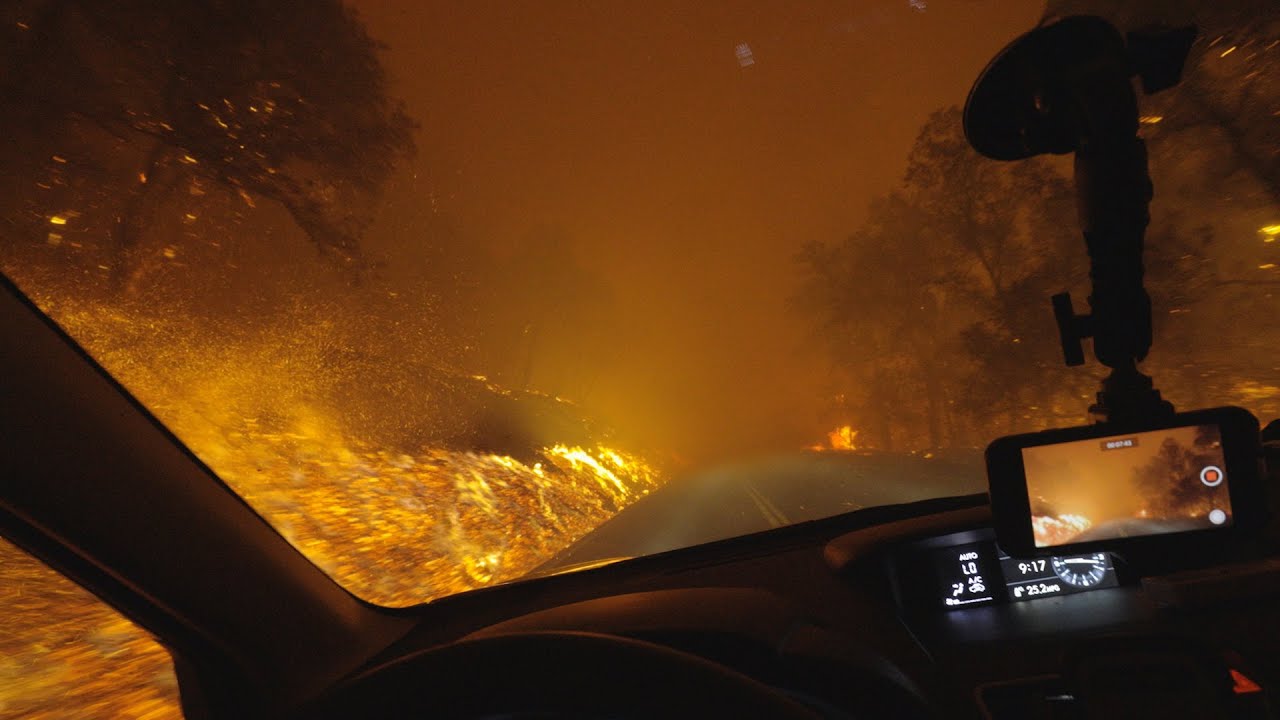 How Humans Created the Fire Crisis | American Forest Fires | EarthX