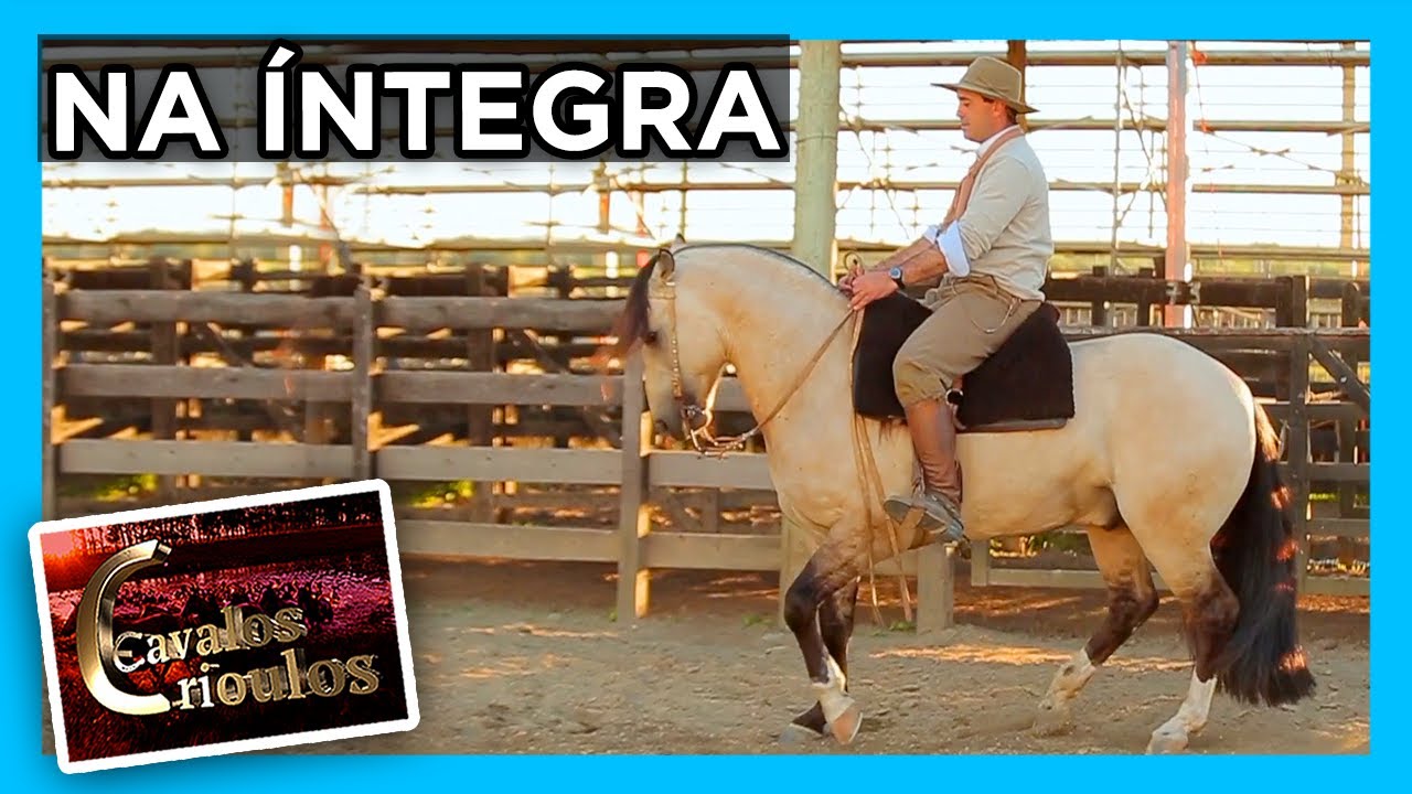 PROGRAMA CAVALOS 28//08/2021
