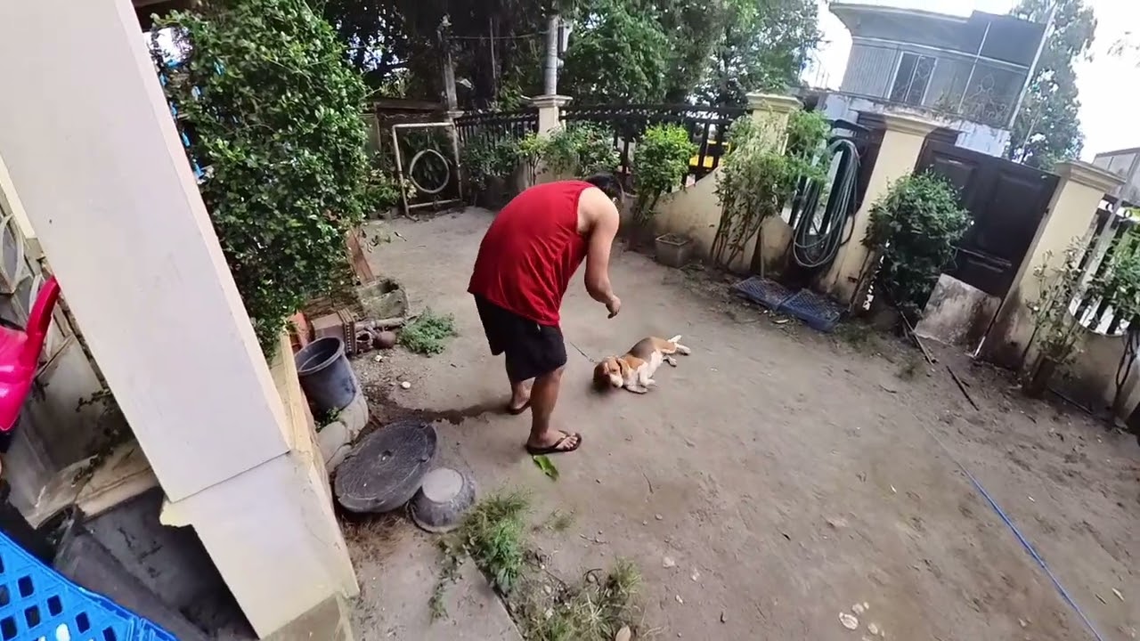 Reporting Video to Our Client: ESME (BEAGLE) REPORTING VIDEO
