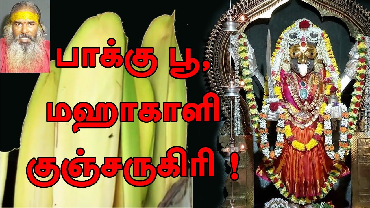 பாக்கு பூ | மஹாகாளி ஆலயம் | குஞ்சருகிரி மலை | yaanan speech | @channelartindia