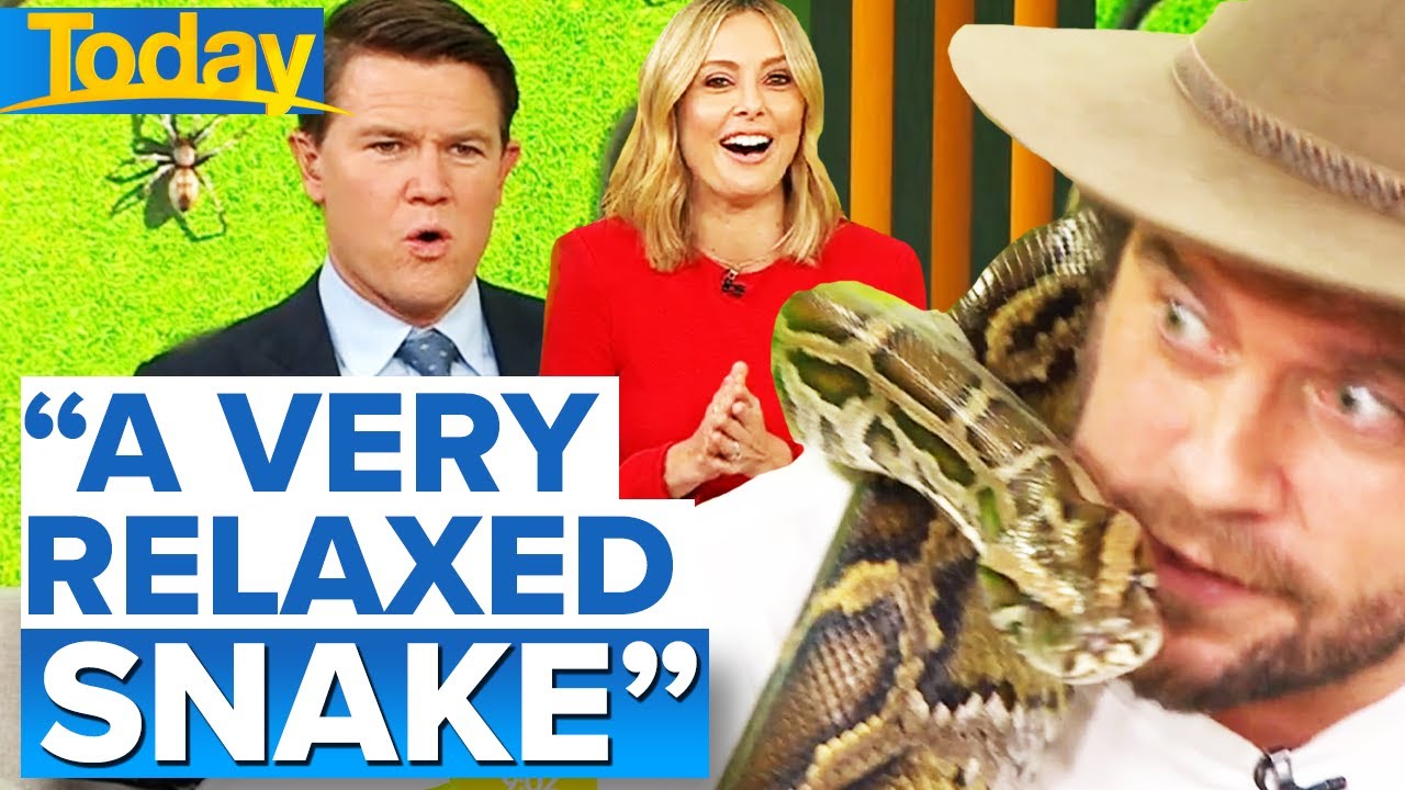 Aussie hosts help Scottish 'scaredy cat' overcome snake fear... sort of | Today Show Australia