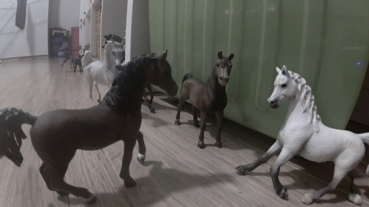 Serial schleich:Przygody w Stadninie 