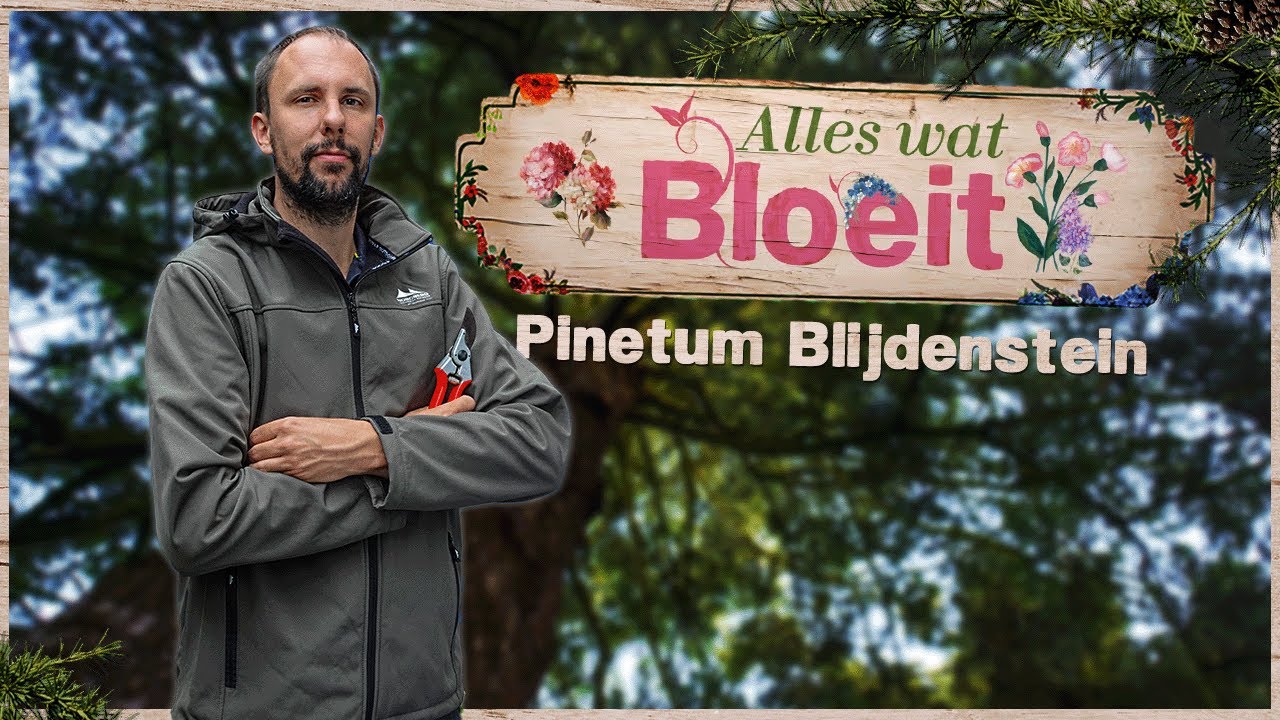 Een rondje door het Pinetum Blijdenstein | Alles Wat Bloeit