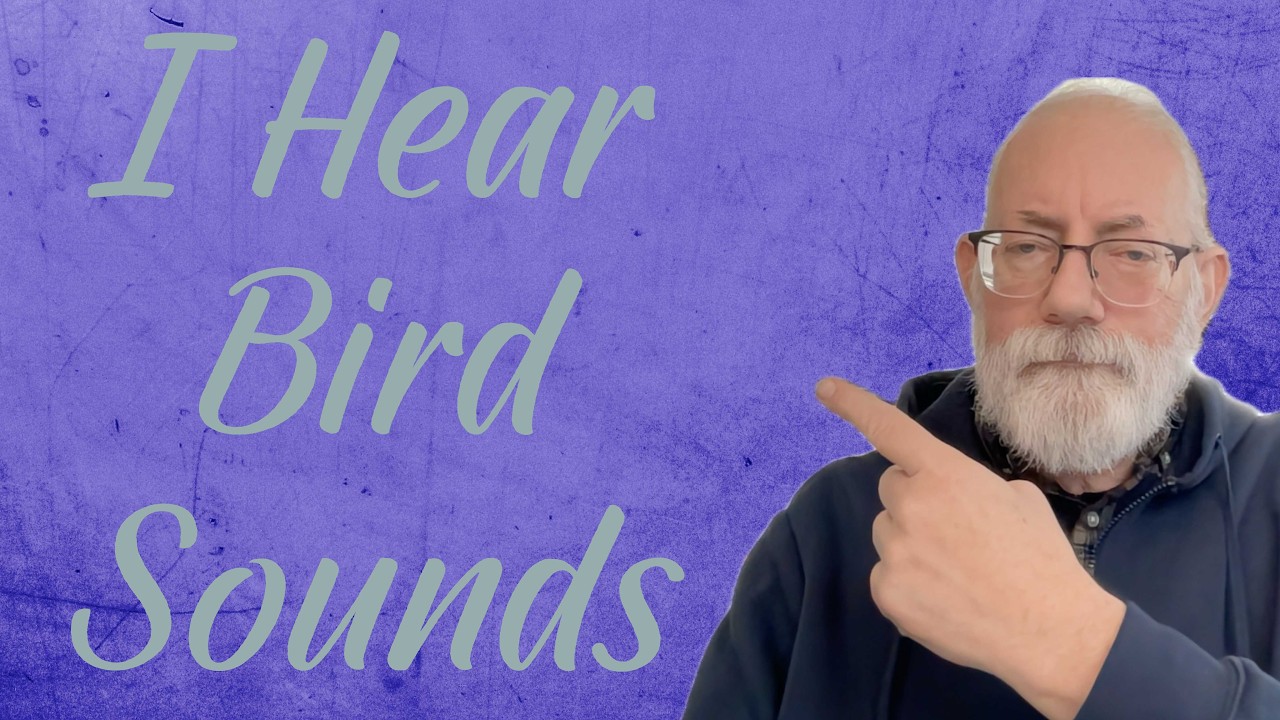 I Hear Bird Sounds