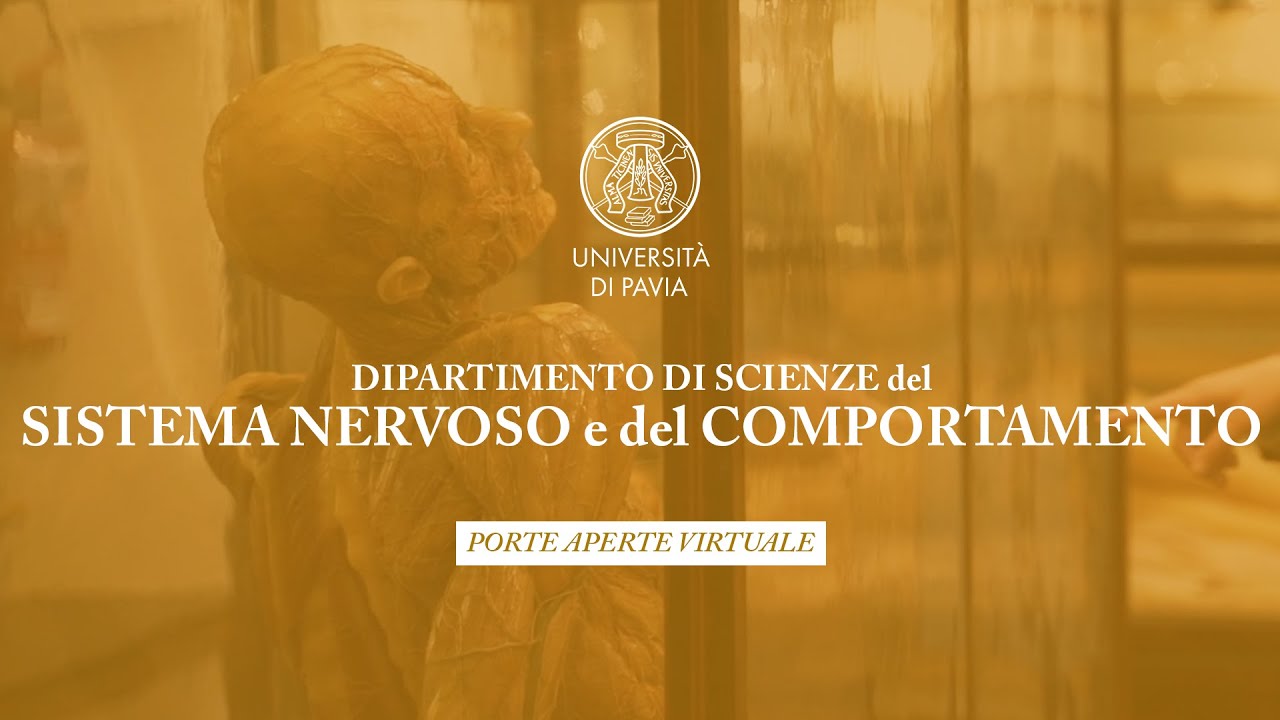 Studiare SCIENZE del SISTEMA NERVOSO, del COMPORTAMENTO e PSICOLOGIA a Pavia
