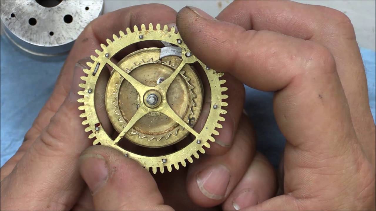 cuckoo quail repair