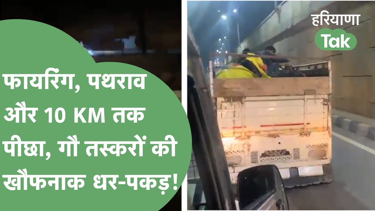 बीच सड़क गौ तस्करों का ऐसा तांडव पहले नहीं देखा होगा! | Haryana Tak