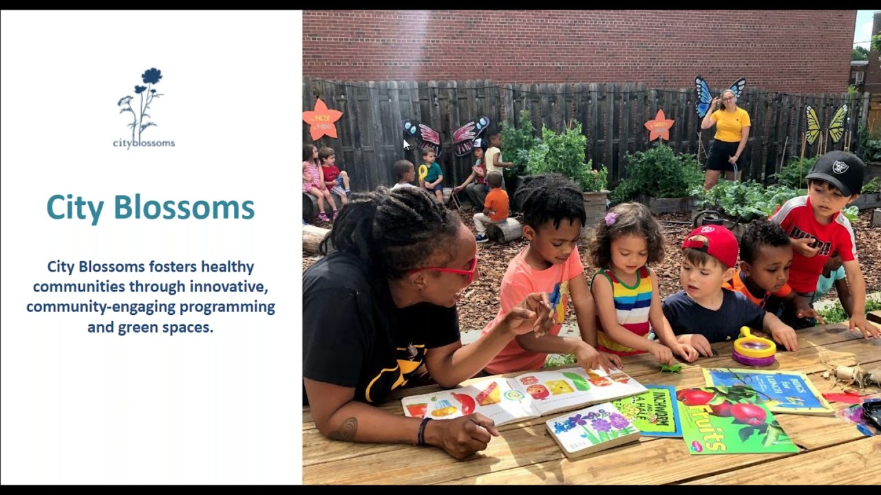 Volunteer Management and Community Support Webinar - 09/26/2019
