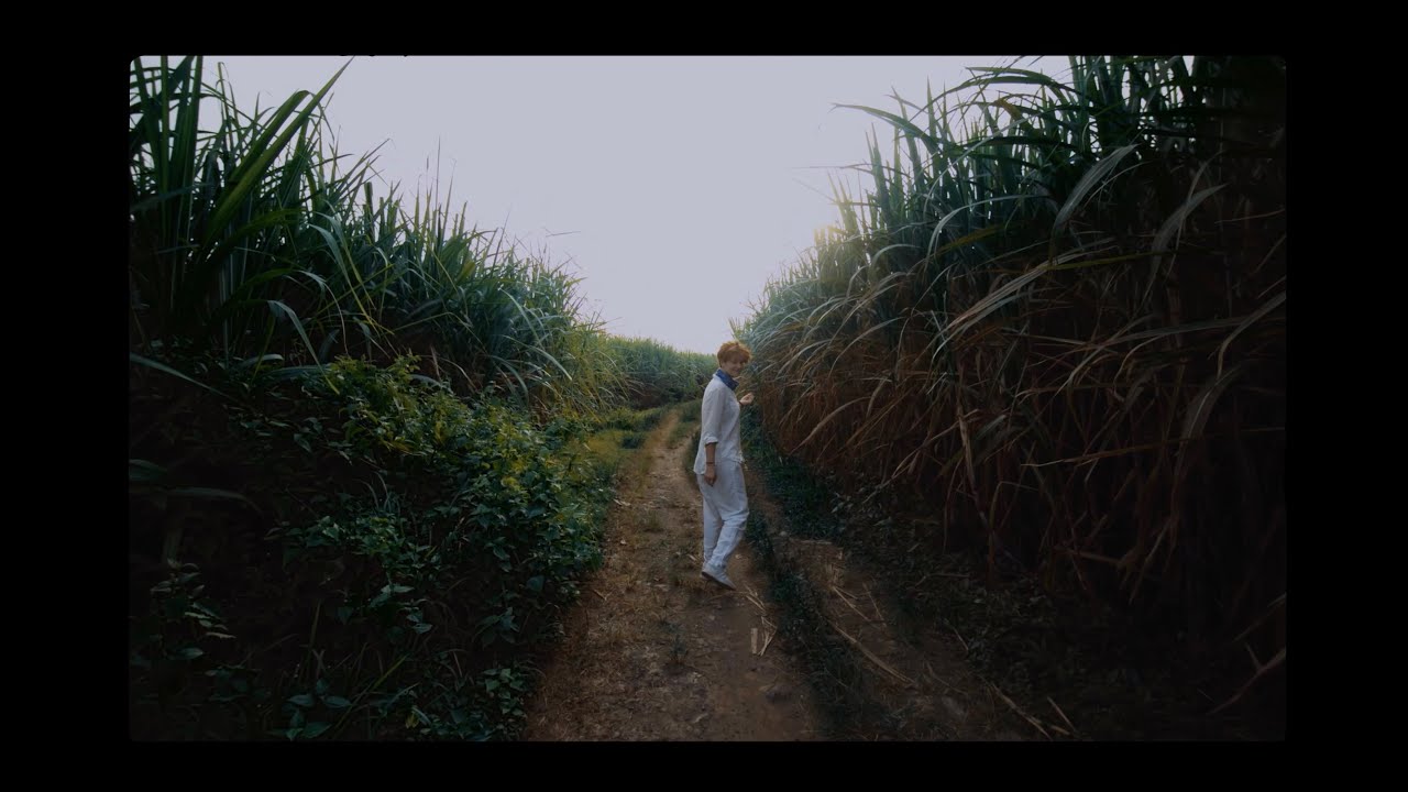 BMPCC 4K BALI to BROMO INDONESIA by Hitchhiking. BMPCC4k with Laowa 7.5mm