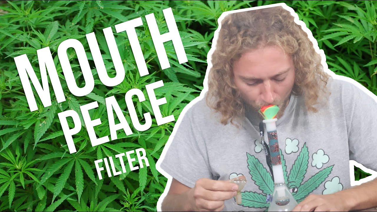 Mouthpeace Filter (moose lab) part 1