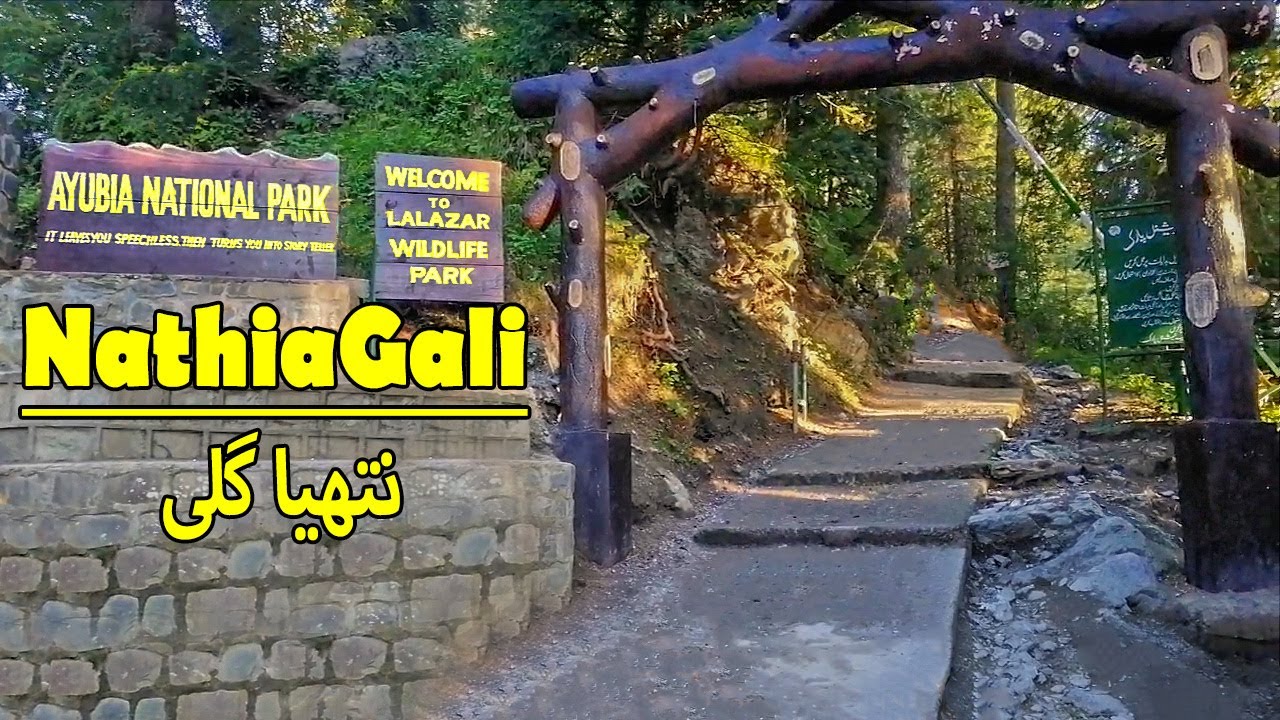 Nathiagali | Lalazar wildLife Park | Ayubia National Park | Ahsan Arain