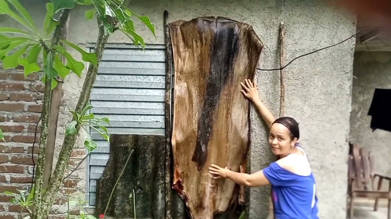 Así VIVÍ el HURACÁN MELISSA en los CAMPOS de CUBA 🇨🇺 Dejó muchas pérdidas 😭 en Holguín
