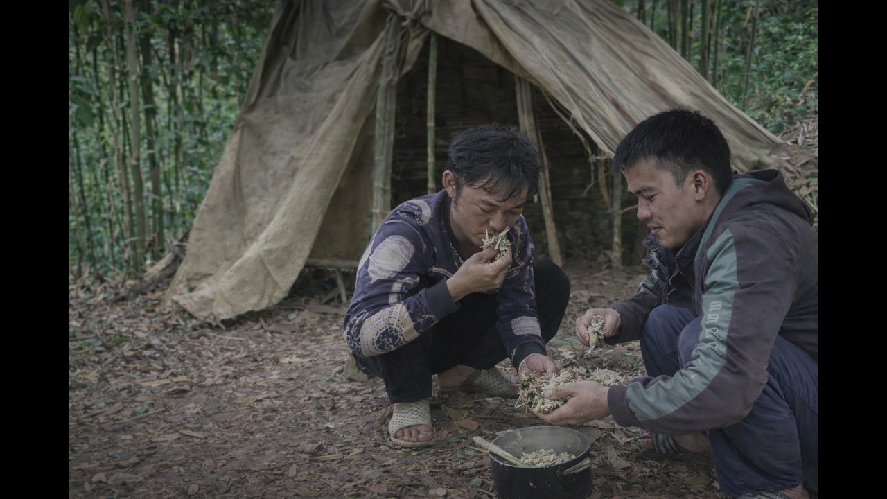 2 ngày 1 đêm trên rừng sau khi bị đuổi khỏi nhà 2 anh em không có gì ăn phải ăn cơm với hoa chuối