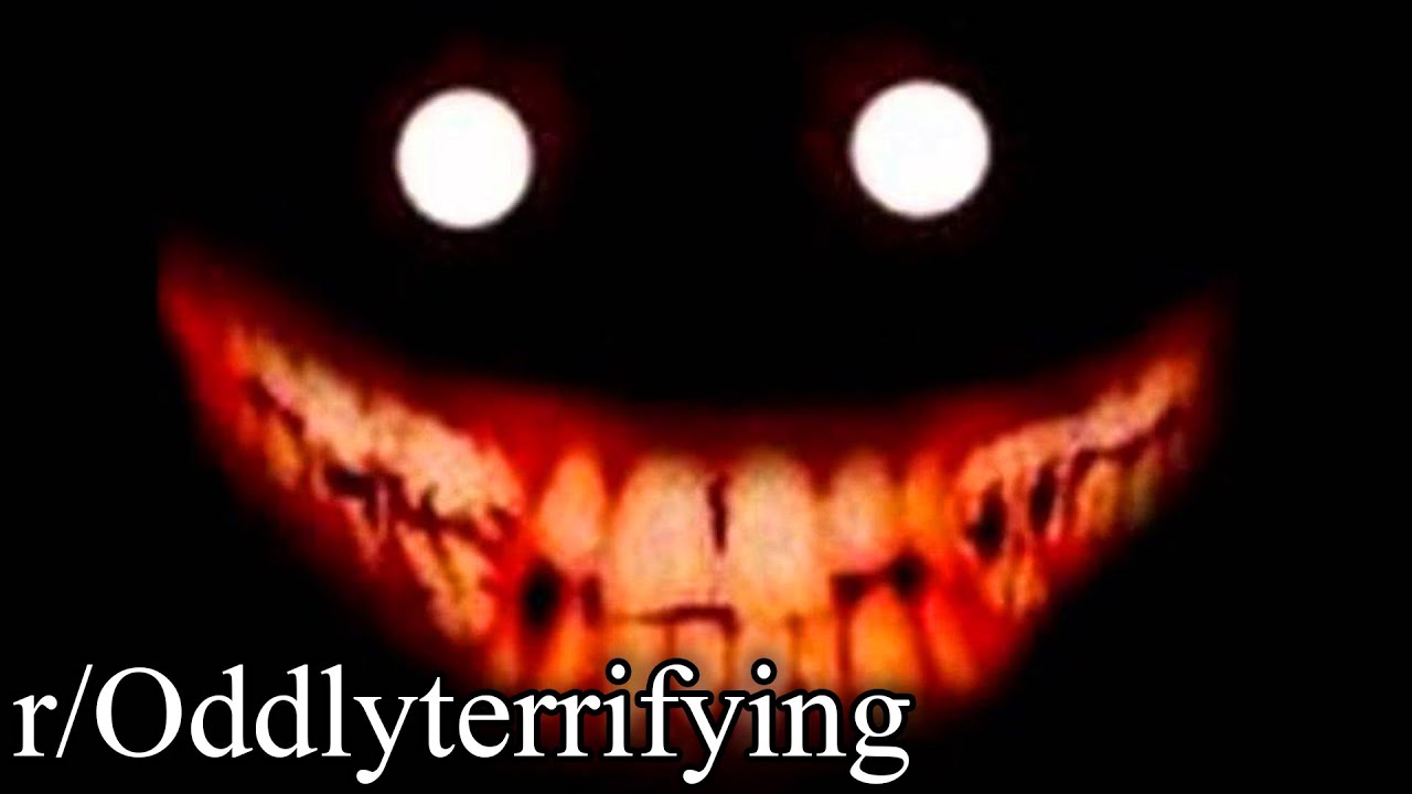 r/Oddlyterrifying | nope