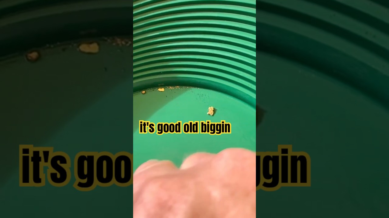 #goldpicker #goldpanning #goldnugget #oooweee good ole bigens big ole goodens