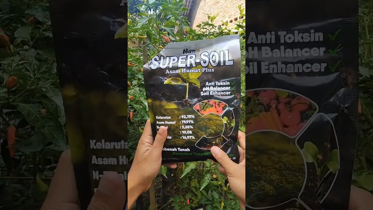 super soil asam humat #gardening #garden #asamhumat #supersoil #asamhumatlembenahtanah #shorts