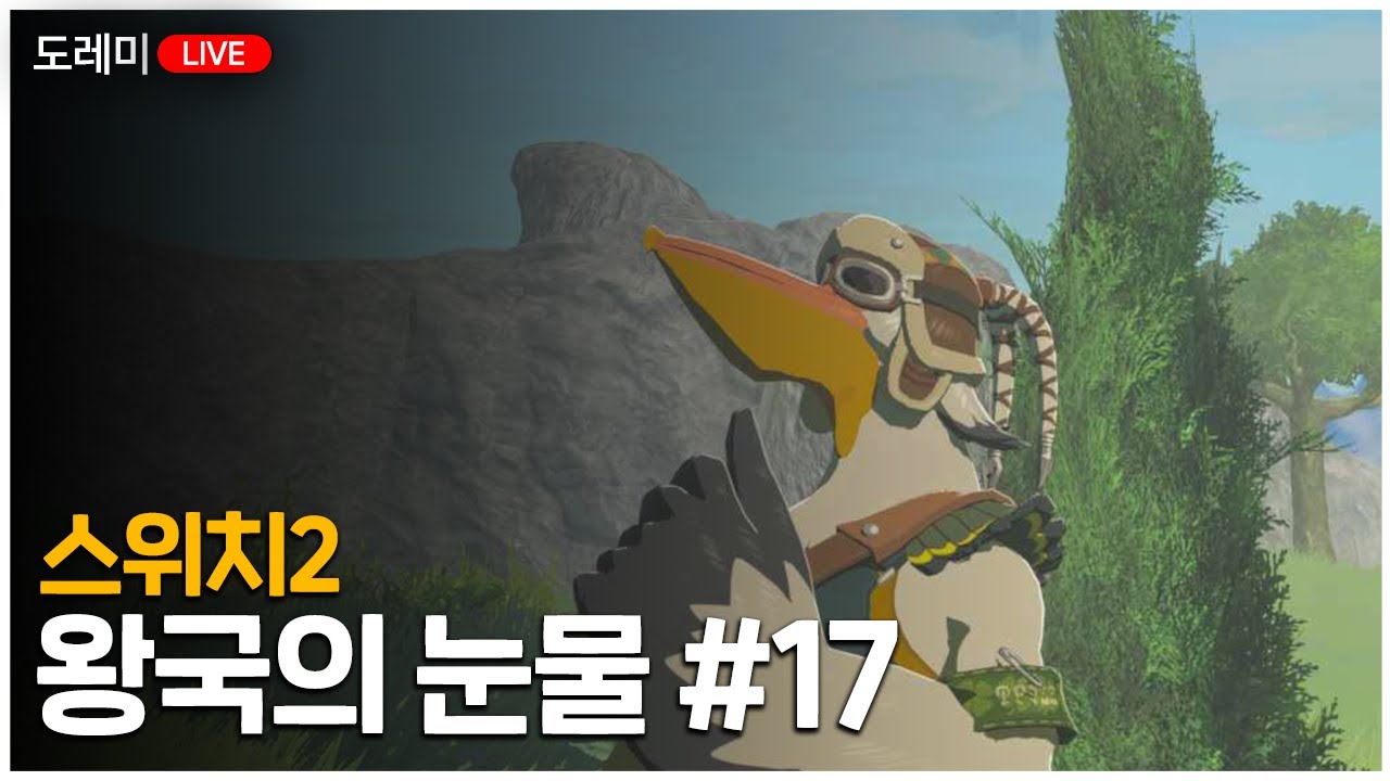[도레미LIVE]에피소드 퀘+링크 강하게 만들기|스위치2 왕국의 눈물 17화