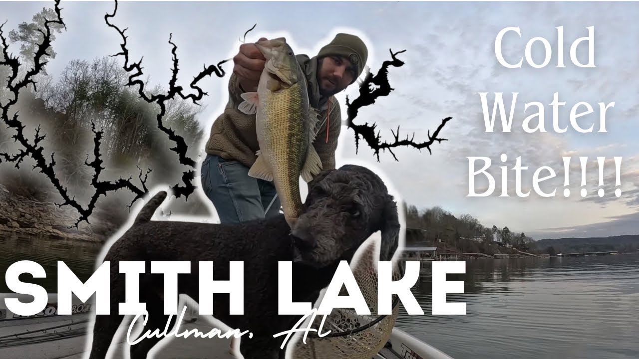 Smith lake bass fishing in January 
