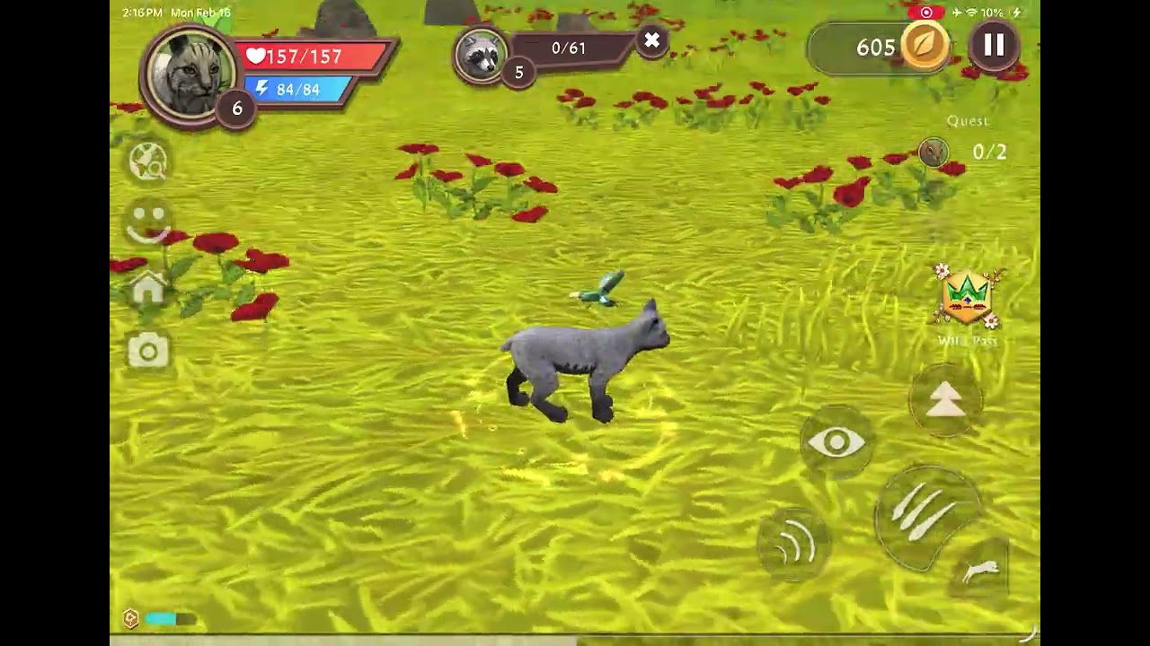 Life as a lynx lvl 1 to lvl 10 and getting a mate and a child 
