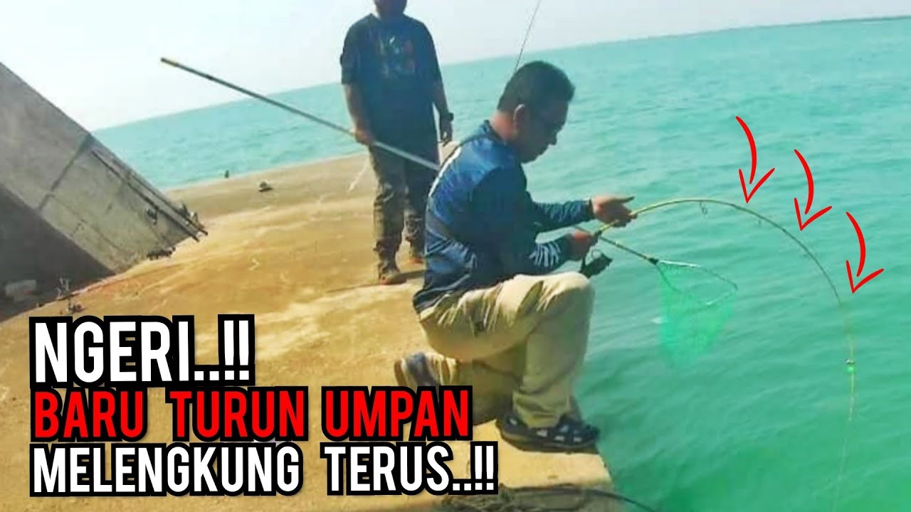 PORT MEMANCING  : Baru Turun Umpan Rod Melengkung Terus Di Jambatan Bunting