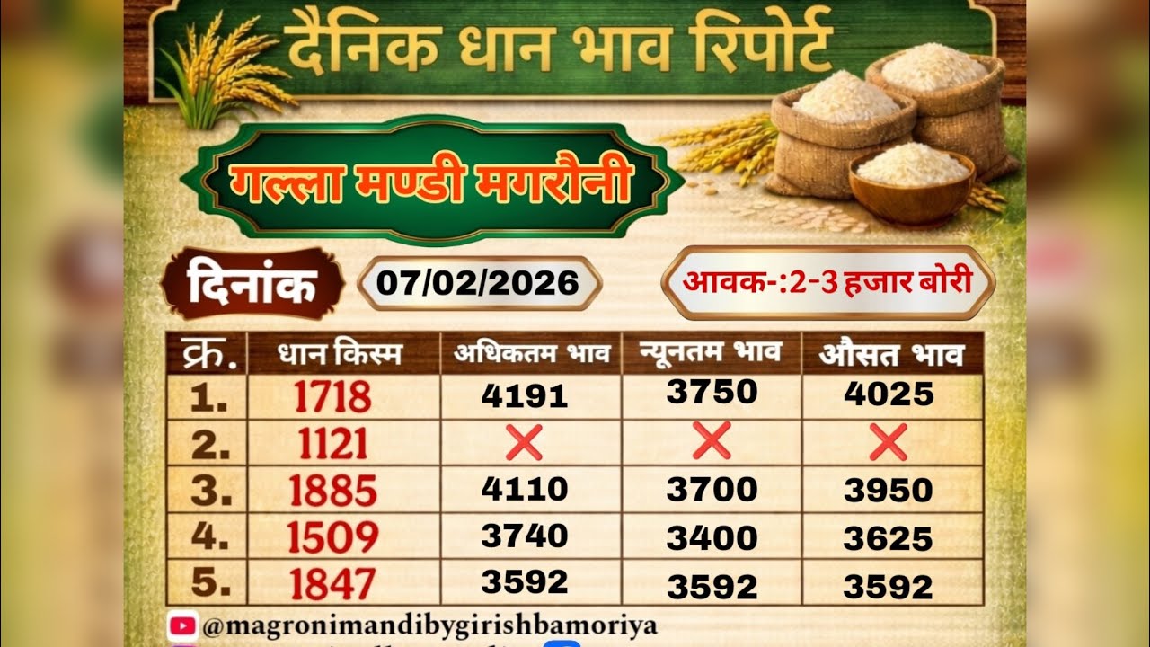 धान 🌾 के भाव में बनी तेजी (1509 , 1718 ,1121 ,1885) Magroni Mandi by Girish Bamoriya 07/02/2026 