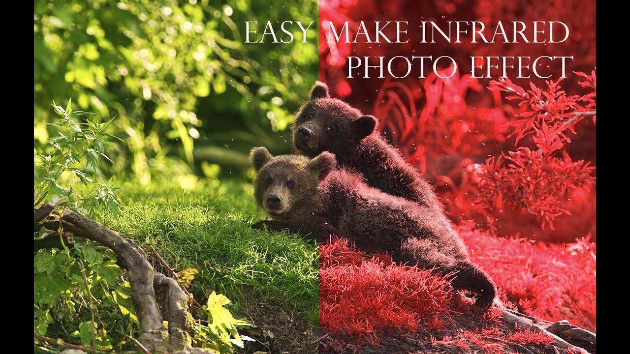 Make Your Infrared Photo Effect  using This Trick | Photoshop Tutorial