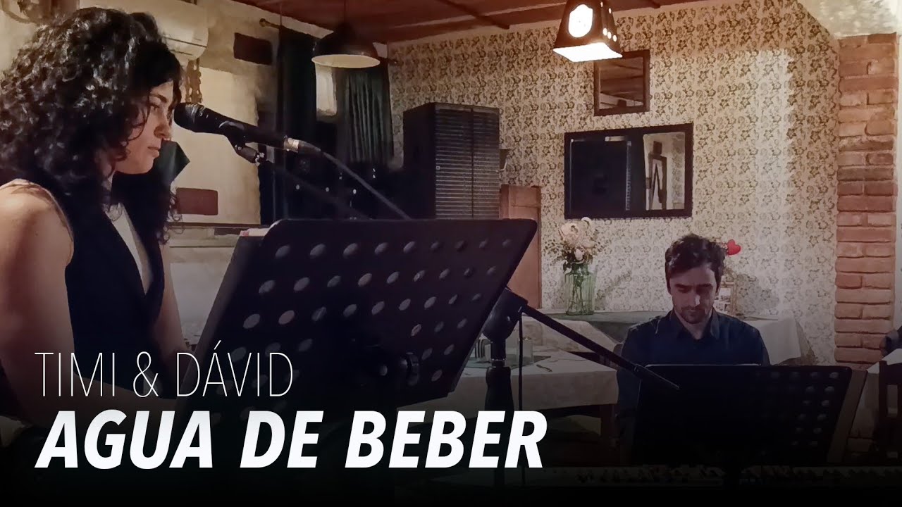 Timi Páll & Dávid Dombi - Agua de Beber (cover)