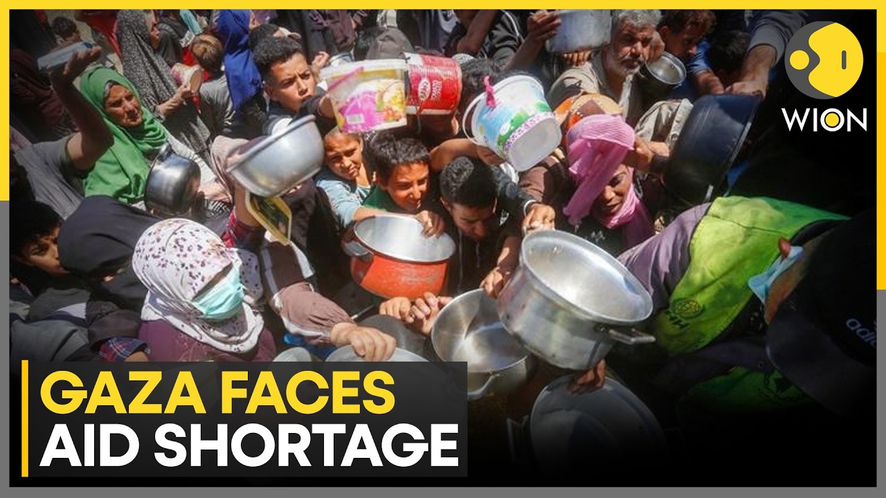 Gaza Hunger Crisis: Sharp Drop in Aid Pushes Gaza Deeper Into Humanitarian Crisis | WION News
