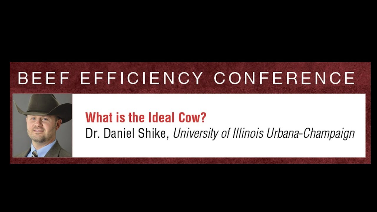 Dr. Daniel Shike, University of Illinois Urbana-Champaign, Beef Efficiency Conference 2026
