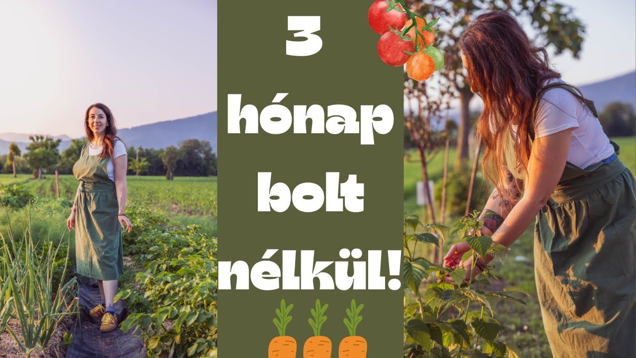 Hogyan &eacute;lek 3 h&oacute;napja bolt n&eacute;lk&uuml;l! &ndash; Ny&aacute;ri #kert bemutat&oacute; az olasz farmunkon