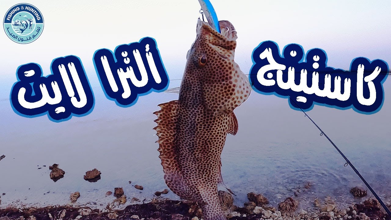كاستينج ألترا لايت في 3 اوقات مختلفه _ عصرا _ ليلا  _ فجرا