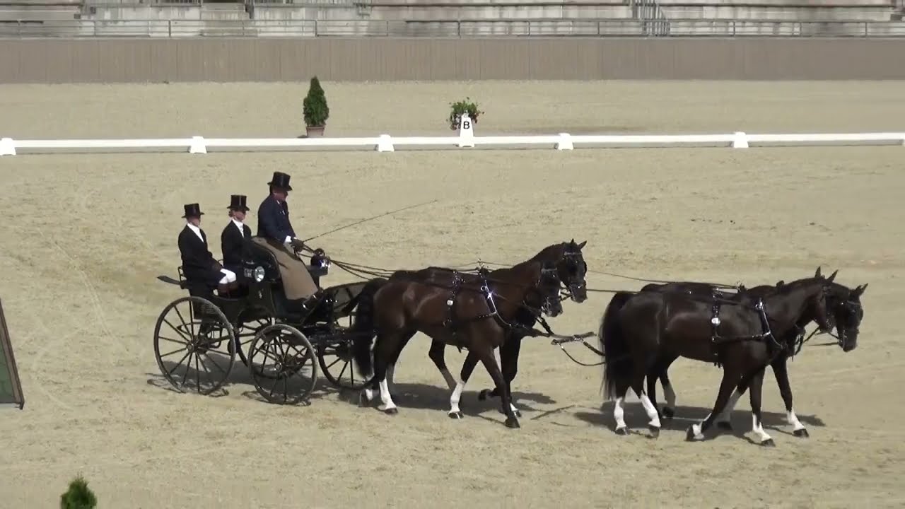 Boyd EXELL (AUS) - CAI***, H4, Szilvásvárad (Hungary), dressage, 14 July 2023