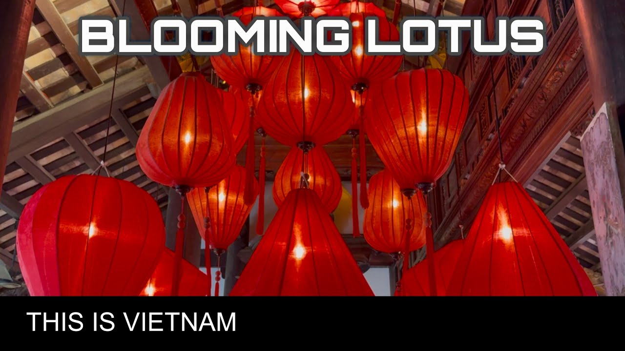 Vietnam | Blooming Lotus - Sightseeing