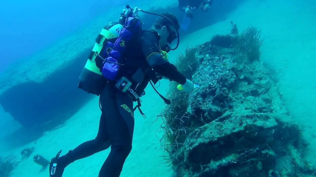 Highlights immersioni Isola di Ponza 2016
