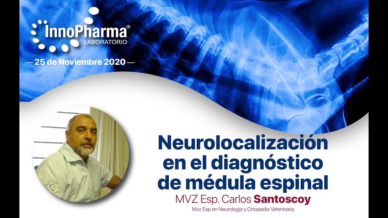 Webinar 25 Nov 