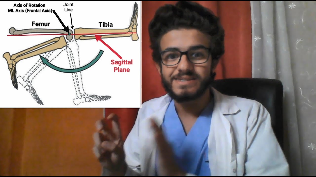 Osteokinematics: Axis Of Rotation
