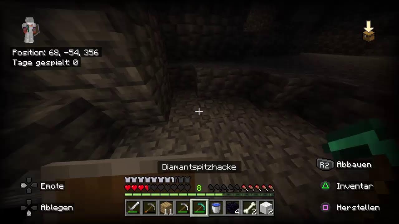 Heute spielen wir Minecraft