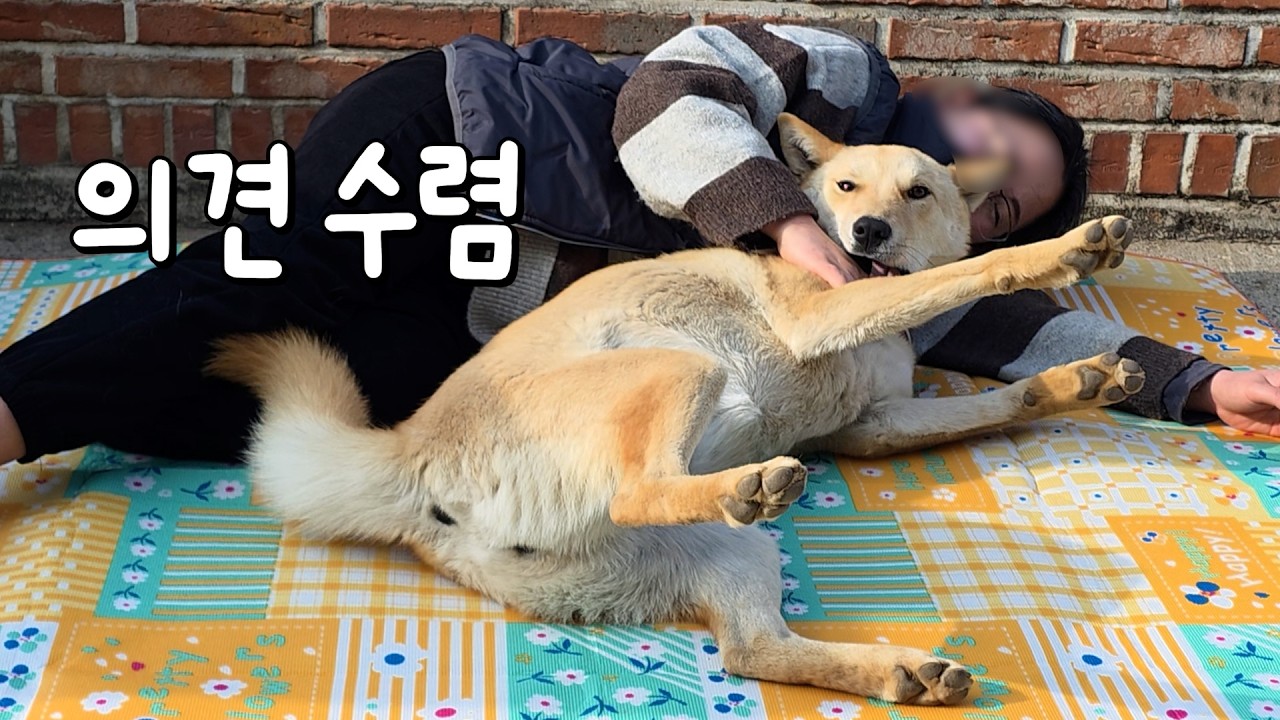 변상을 해달라고 하시네요