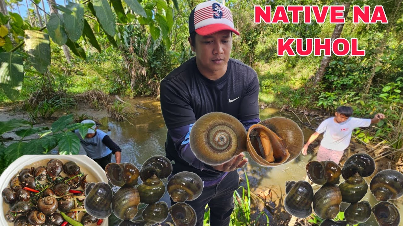 Ang dami ng EXOTIC native na kuhol at suso sa Malalim na kumunoy sa gitna ng Kagubatan...