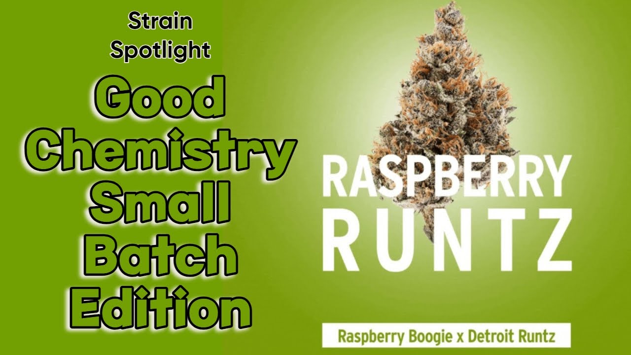 Raspberry Runtz - Strain Spotlight