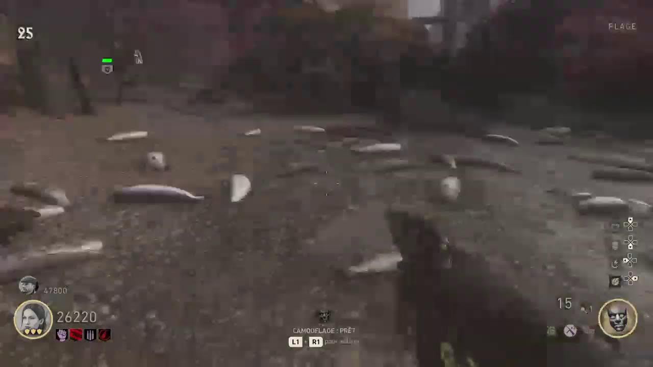 FR Call of duty WW2