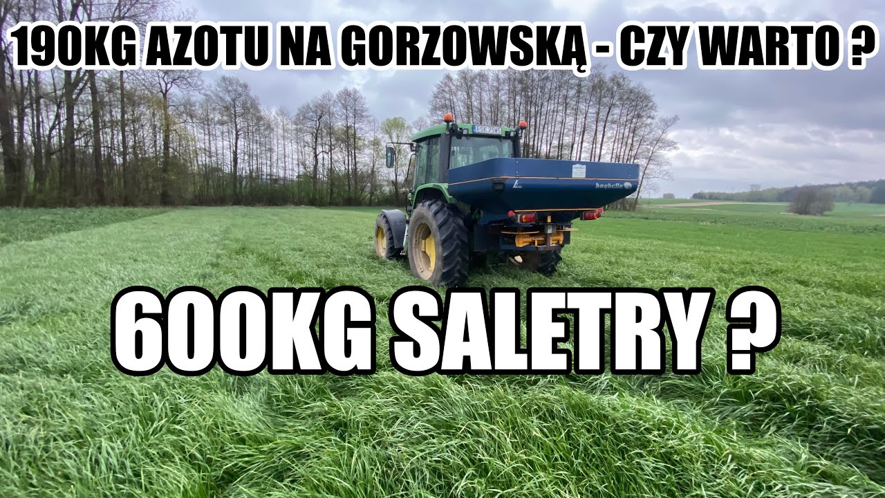 ILE AZOTU POWINNA DOSTAĆ MIESZANKA GORZOWSKA ?