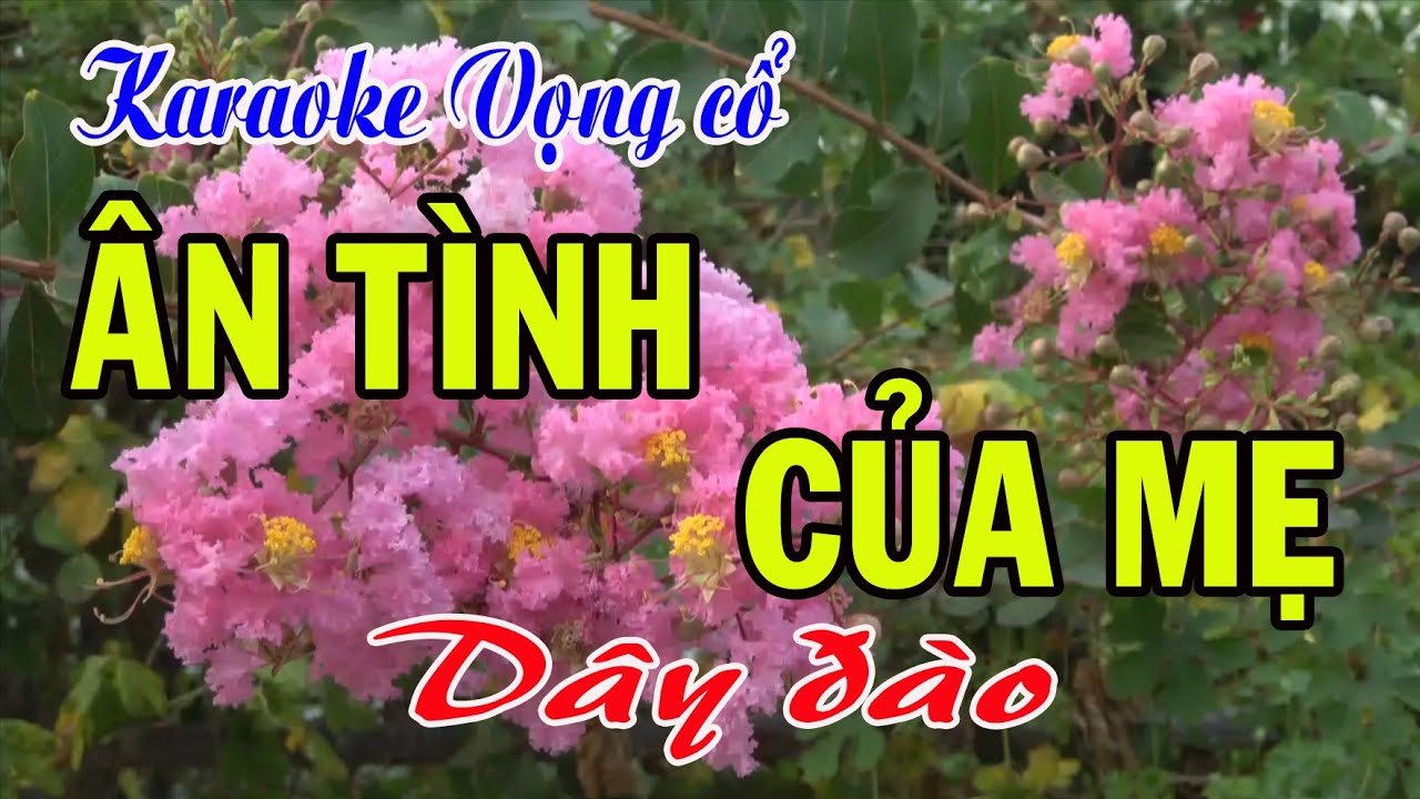 Karaoke Vọng cổ: ÂN TÌNH CỦA MẸ - Dây Đào thấp - Tác giả: Nguyễn Hữu Nghĩa
