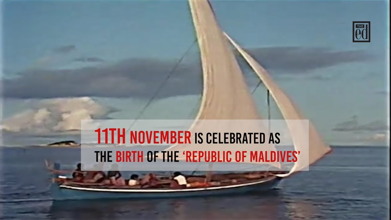 FOCUS: Remember, remember, the 11th of November