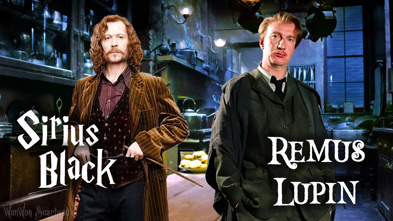🐺⭐ Sirius Black and Remus Lupin talking to you 🧙 Harry Potter edits Hogwarts POV ASMR Wolfstar
