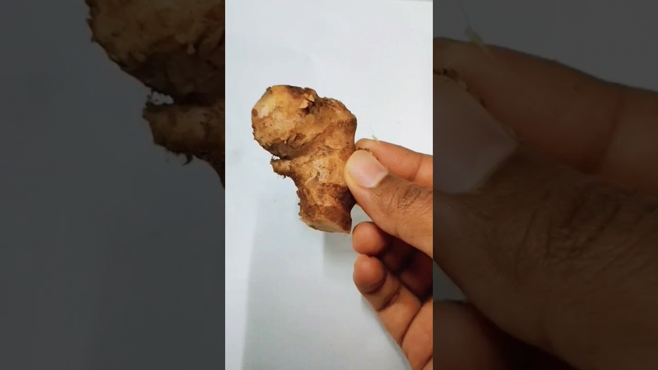 Home remedy for a dry cough  | Ginger tea |