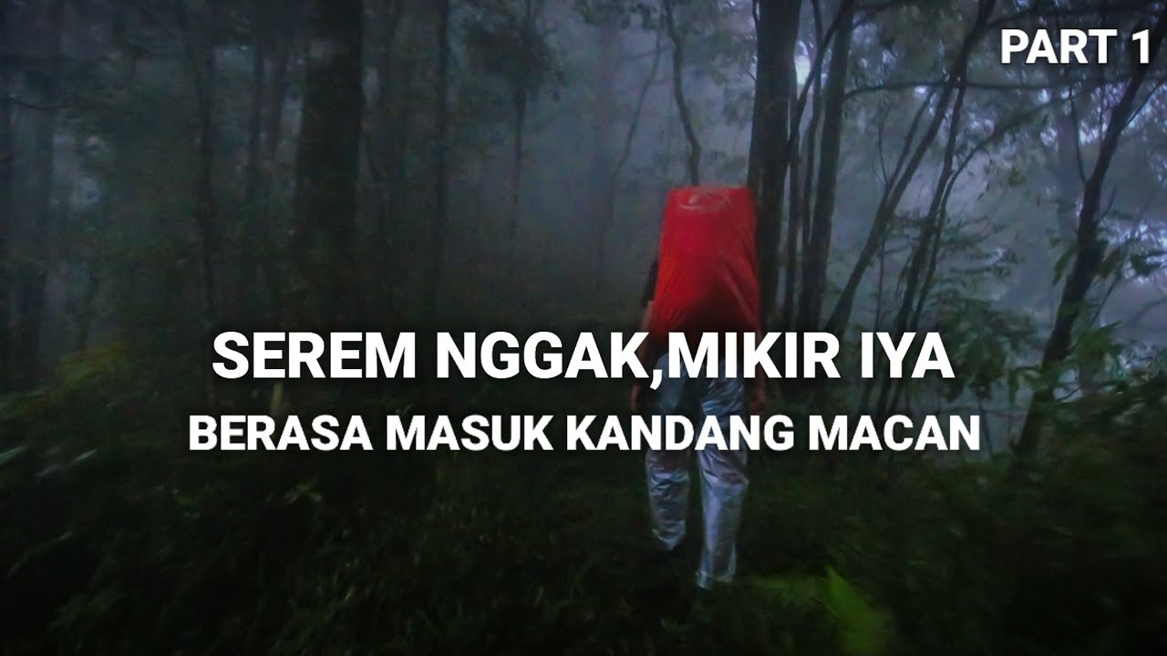 GUNUNG INI UNIK PLUS EKSTREM - PENDAKIAN GUNUNG SEMAR WONOGIRI #1