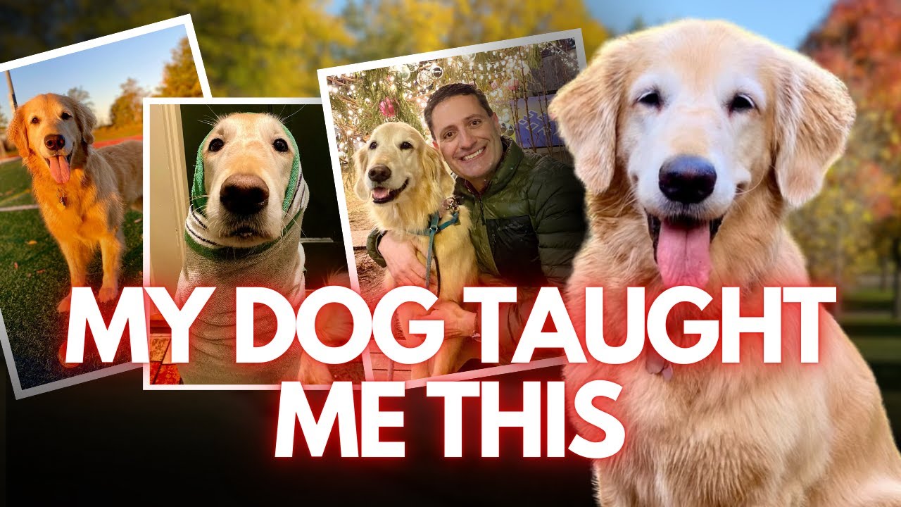 Why My Dog Is a Better Negotiator Than Most People