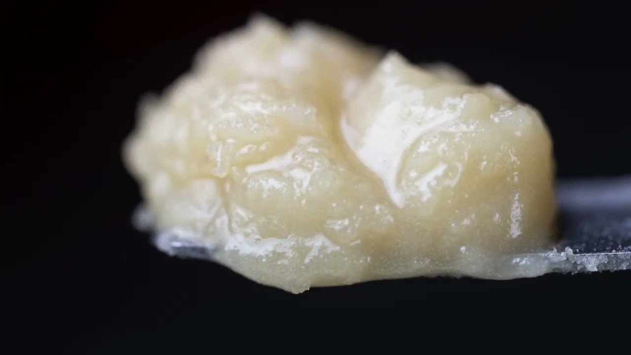 Prohibition 37: Premium Cannabis Strains, Rosin, and Grow House Tour | The Science of Cannabis