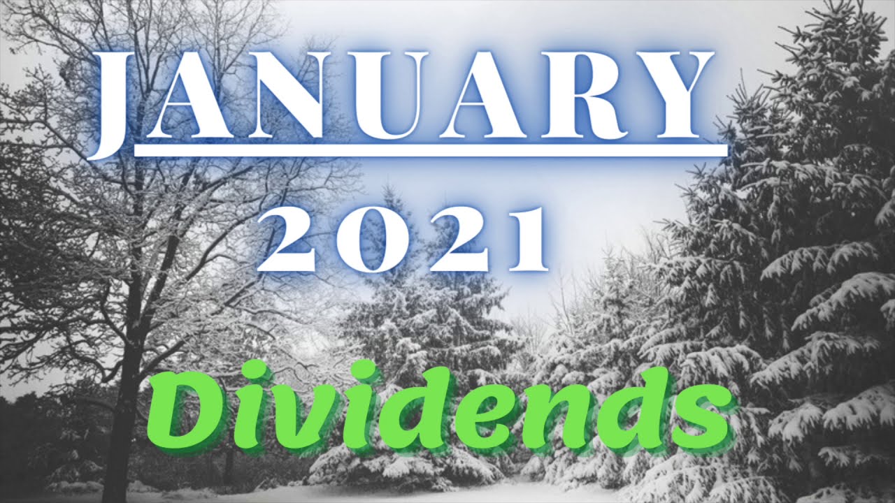 Robinhood Portfolio Update January Dividends 2021